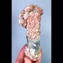 specimen video
