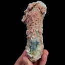 specimen video