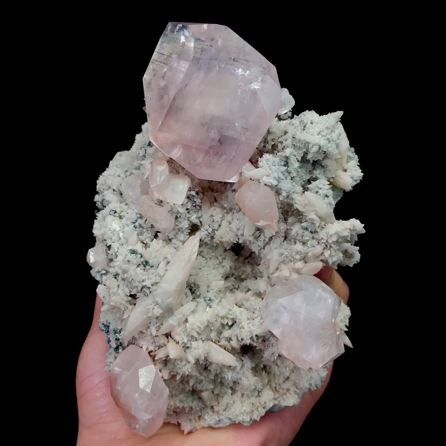 specimen video