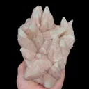 specimen video