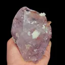 specimen video
