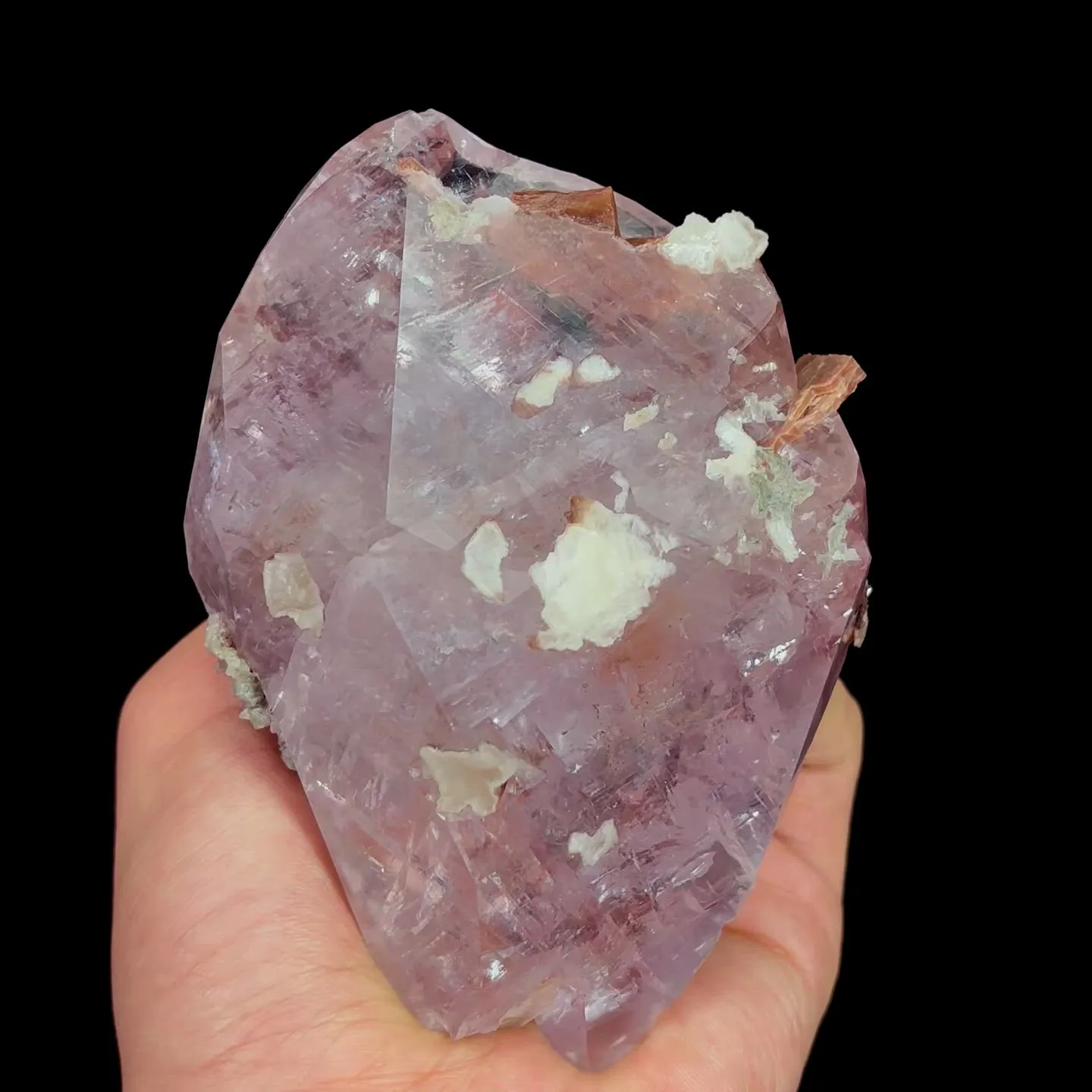 specimen video