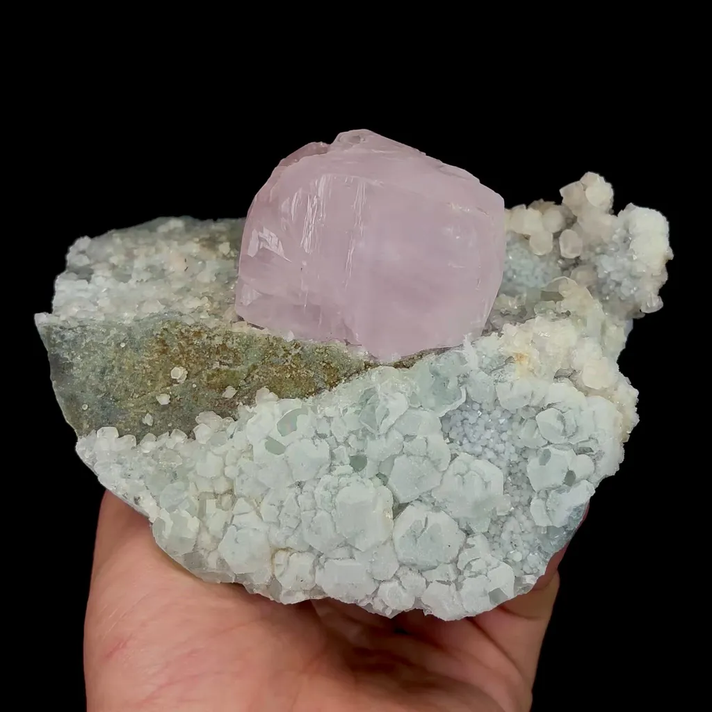 specimen video