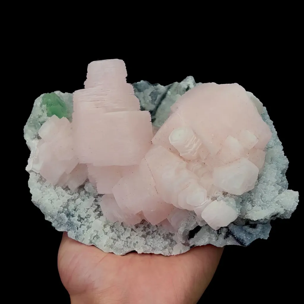 specimen video