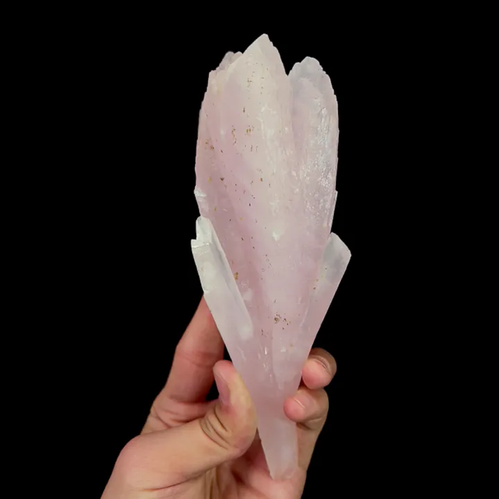 Natural Pink Calcite, Mineral Specimen:Fujian,China (70*55*190MM) image