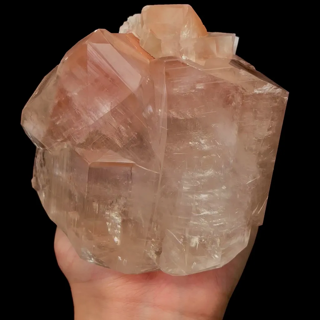 specimen video