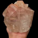 specimen video