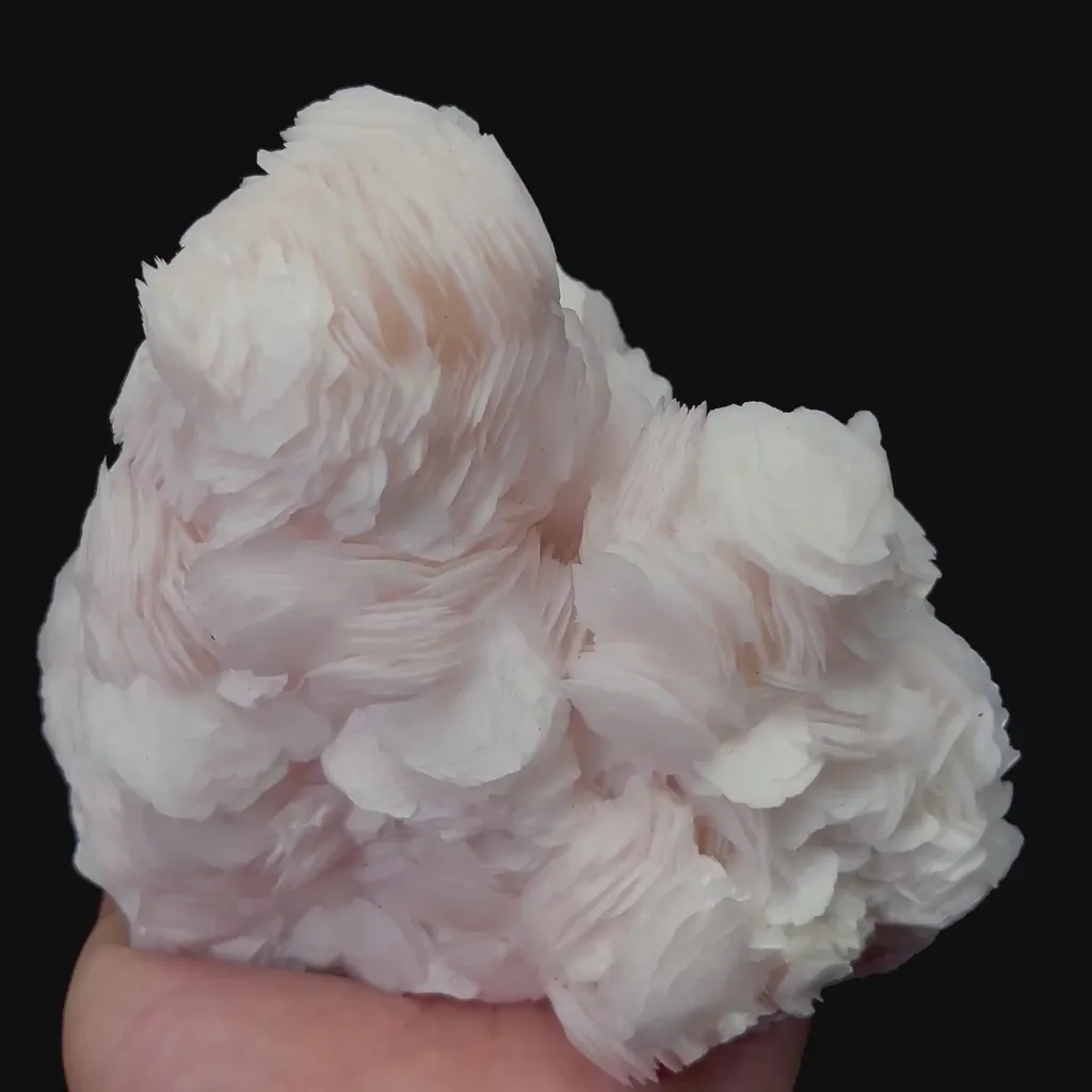 specimen video