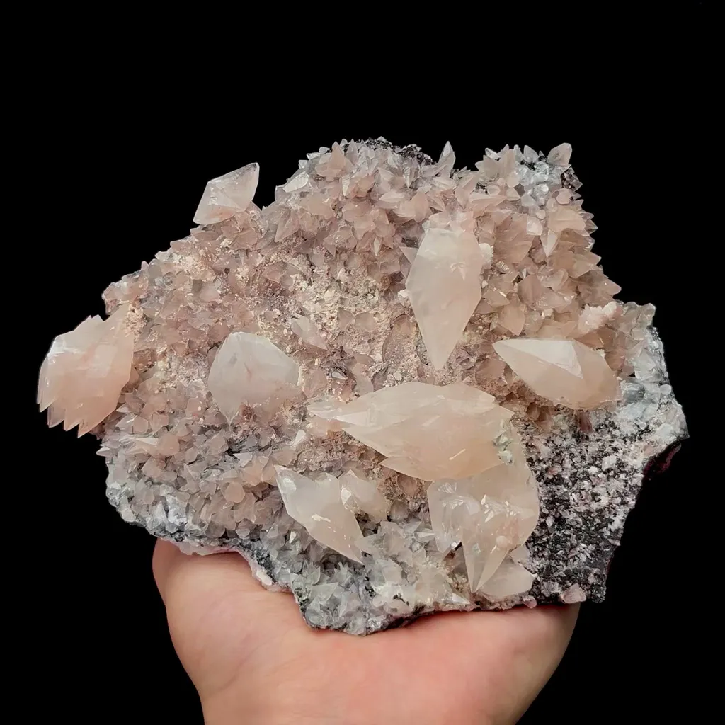 specimen video