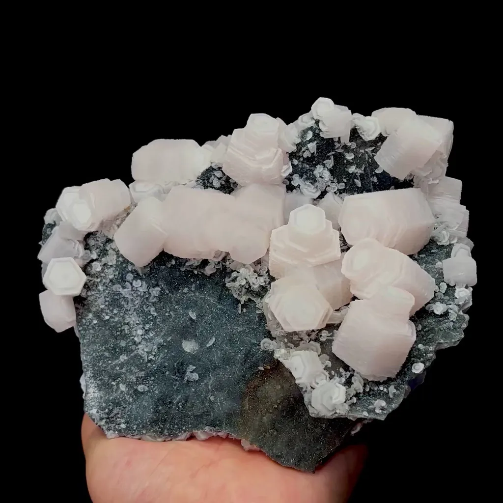 specimen video