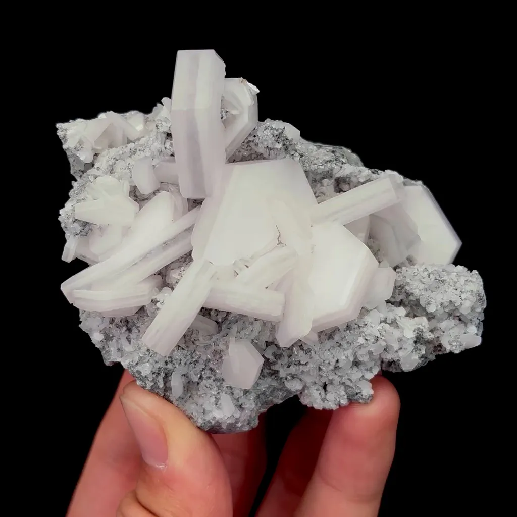 specimen video