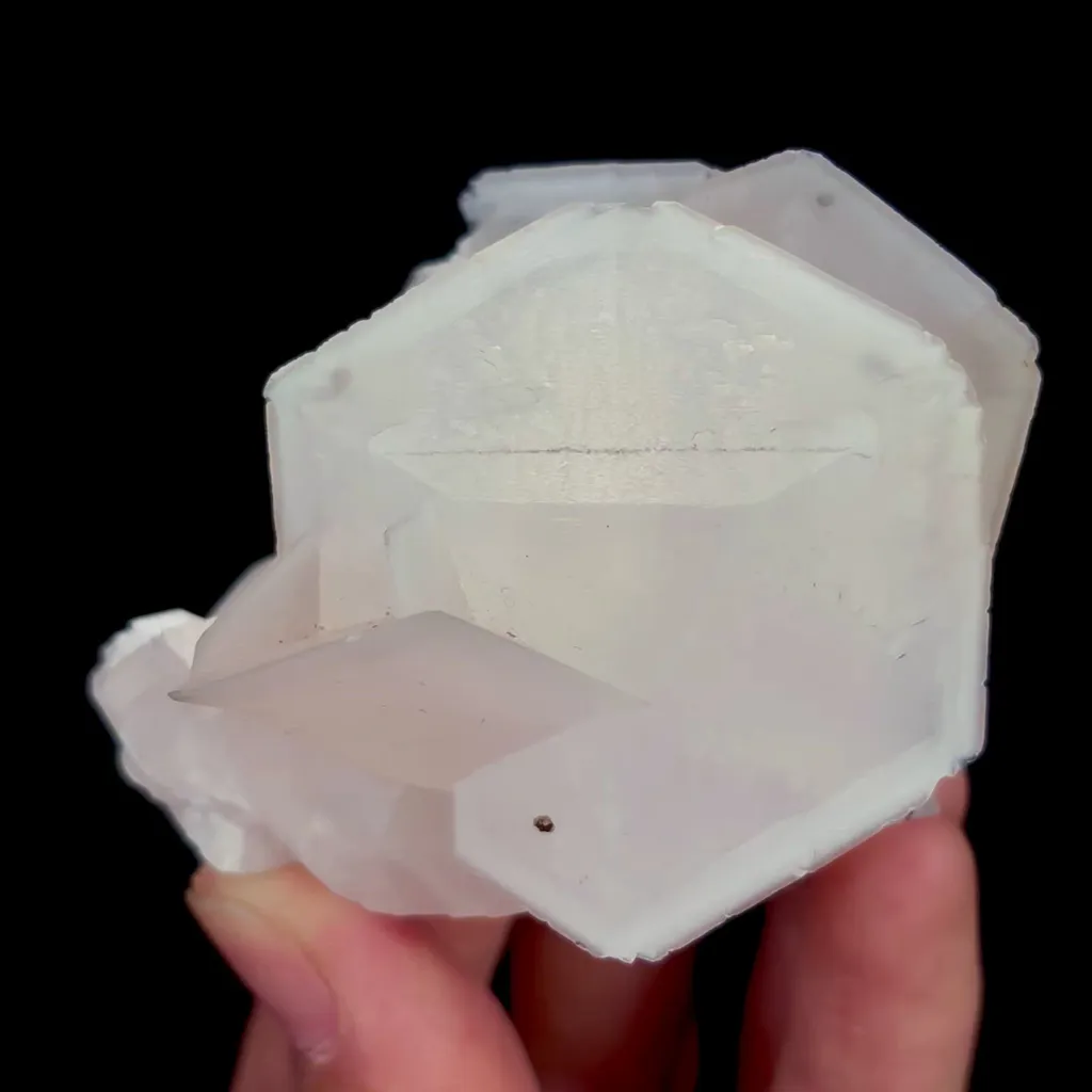 specimen video