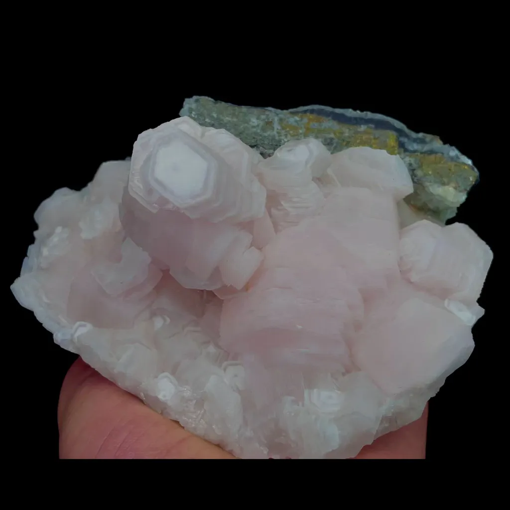 specimen video