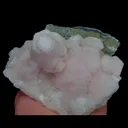 specimen video