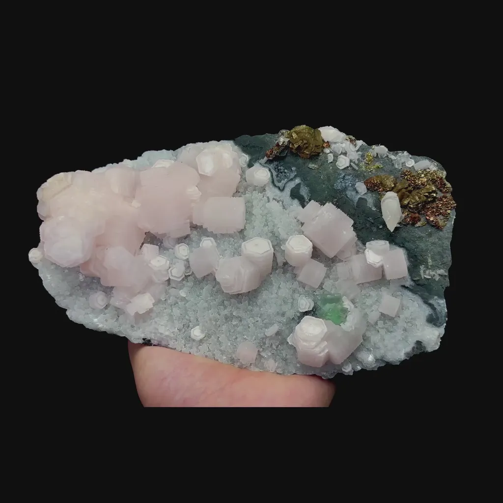 specimen video