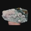 specimen video