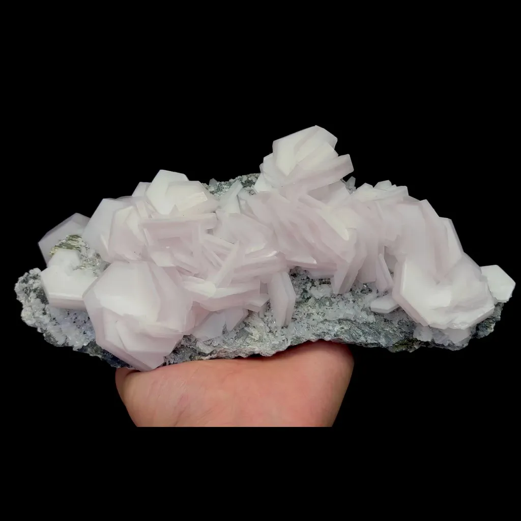 specimen video