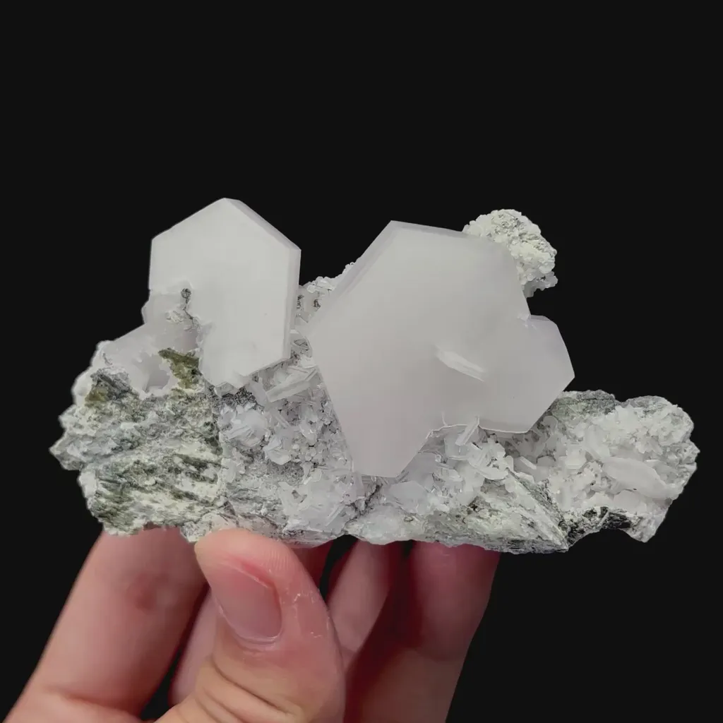 specimen video