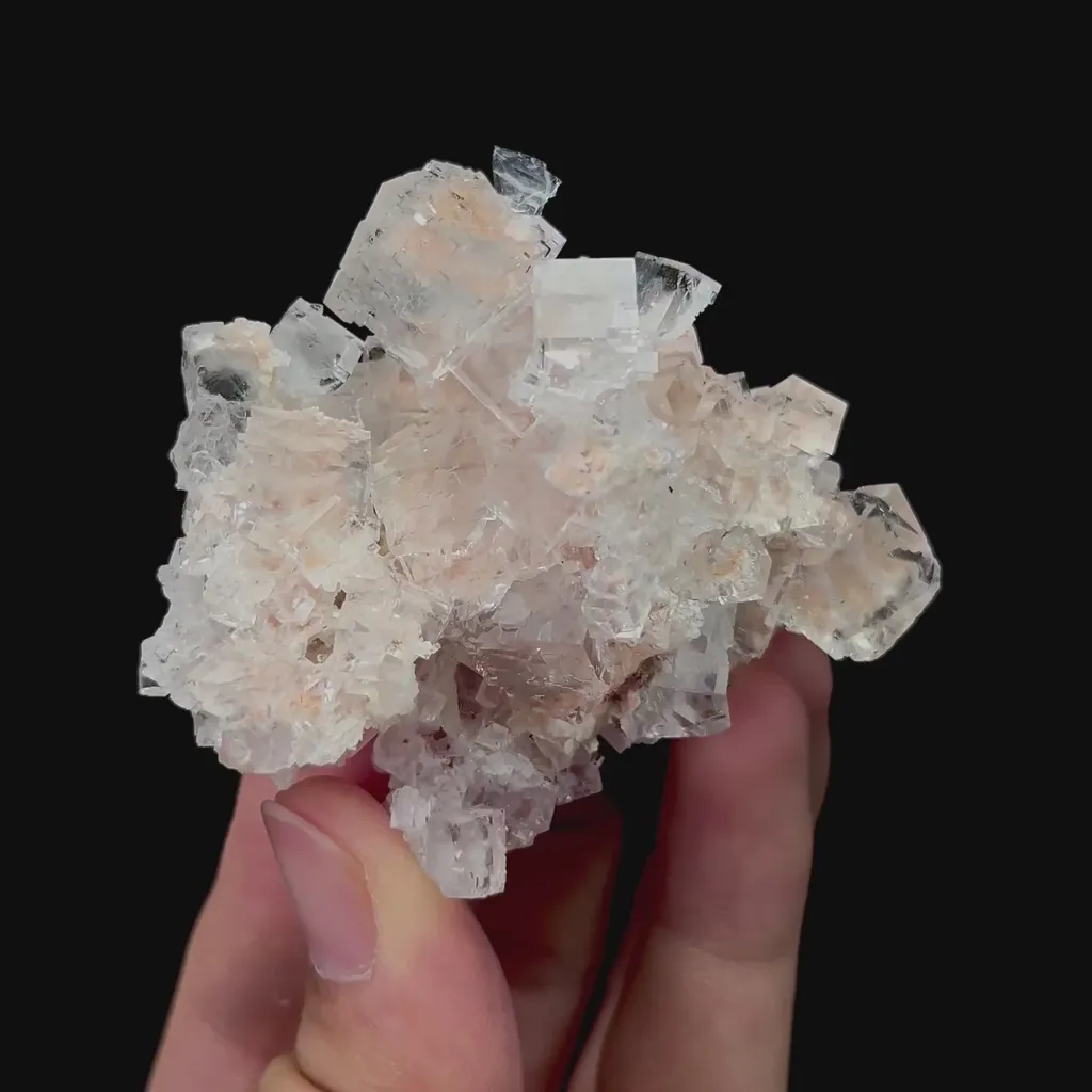 specimen video