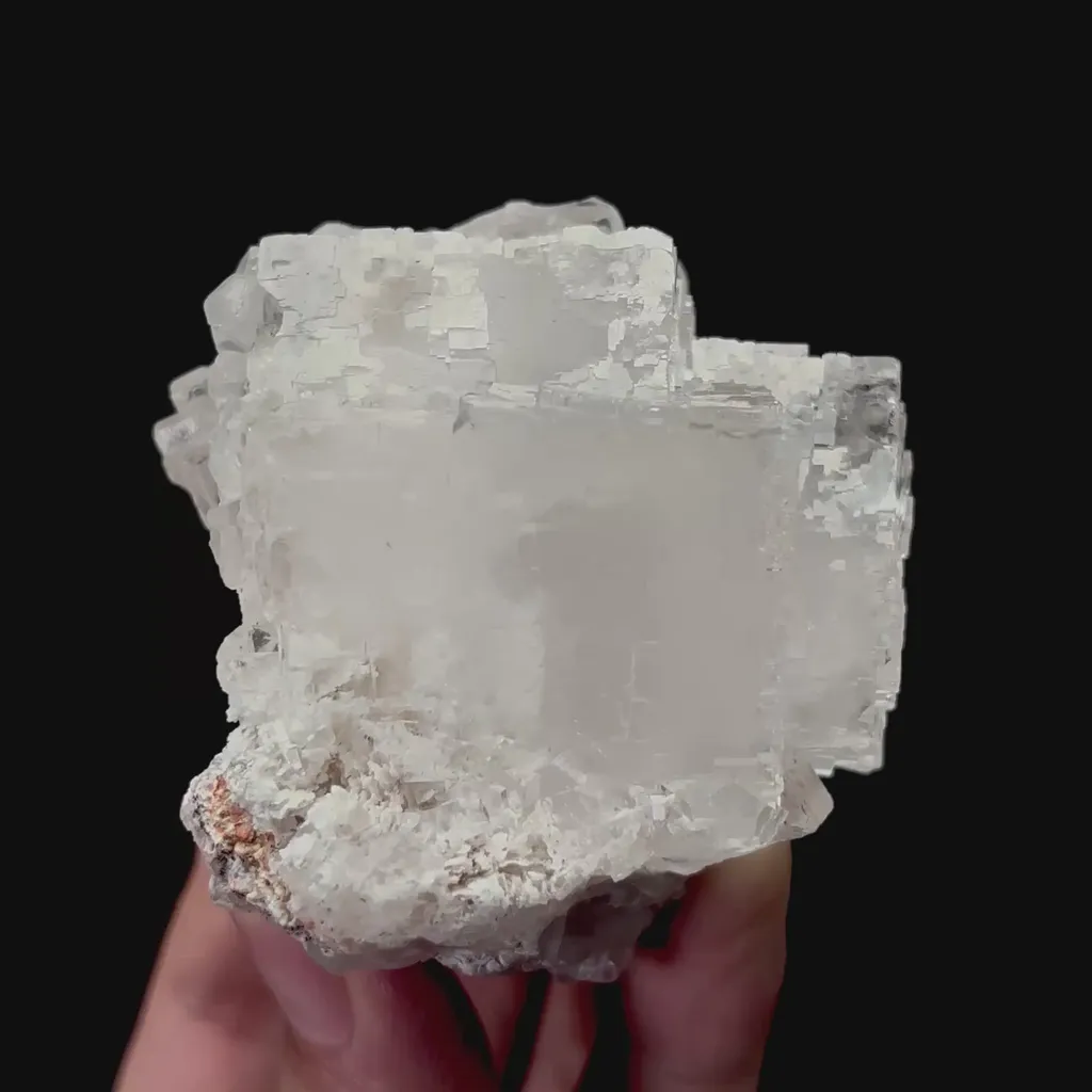 specimen video