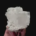 specimen video