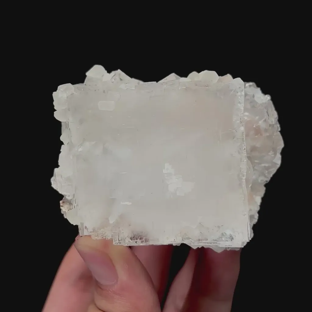 specimen video