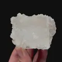 specimen video