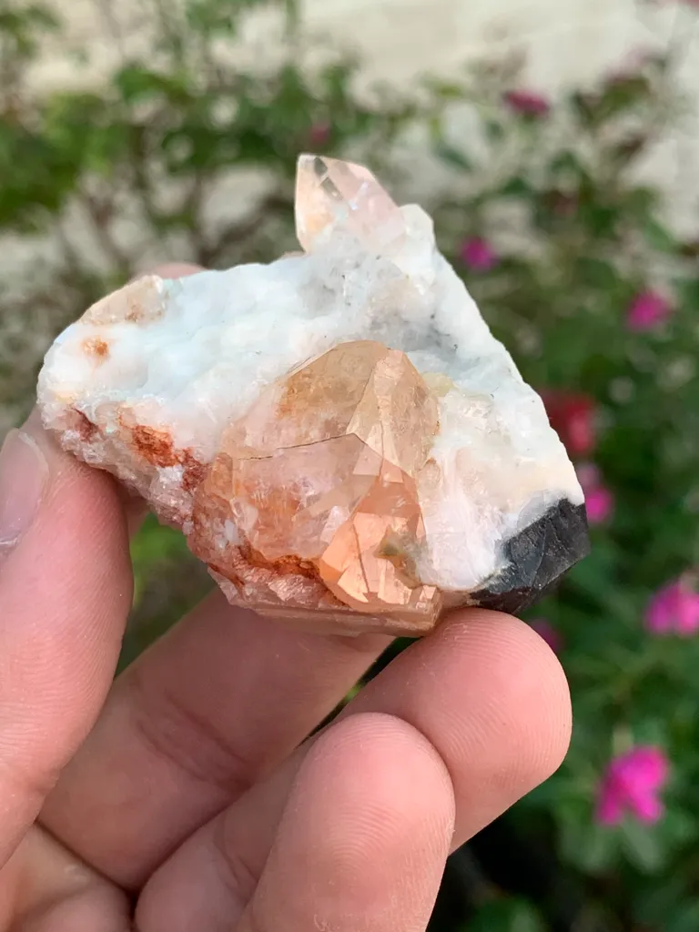 Natural Pink Katlang Topaz on Matrix with Quartz and Black Tourmaline Specimen from Pakistan image