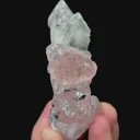 specimen video