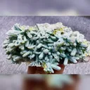 Natural Plumbogummite comes from Guangxi,China 160*75*50MM - image 3