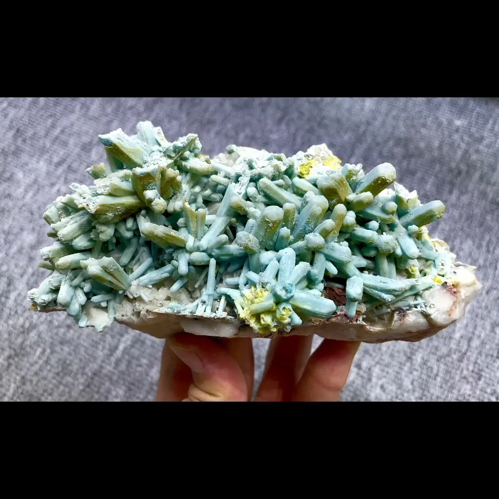 specimen video