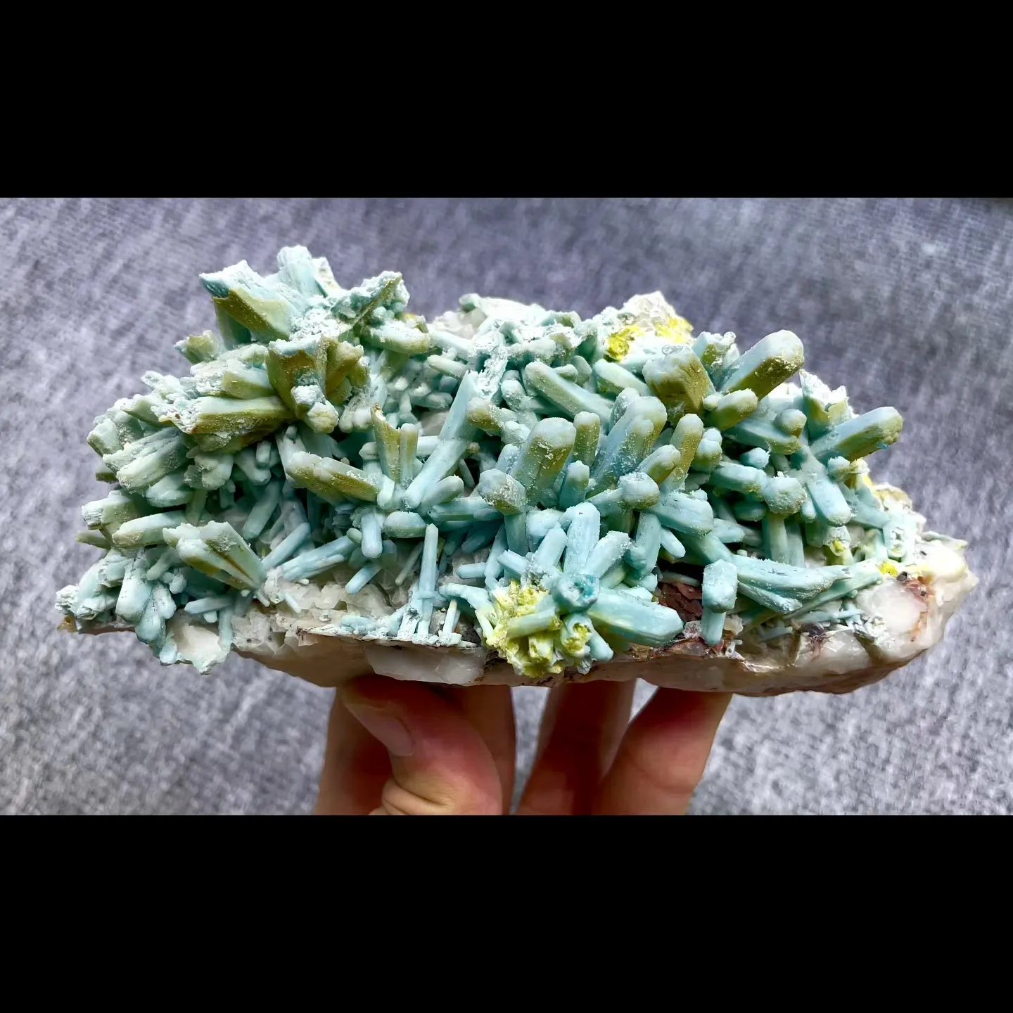 specimen video