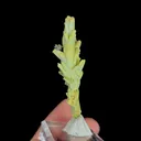 Natural Plumbogummite, Mineral specimen:Guangxi,China (20*55*10MM) - image 4