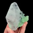 specimen video