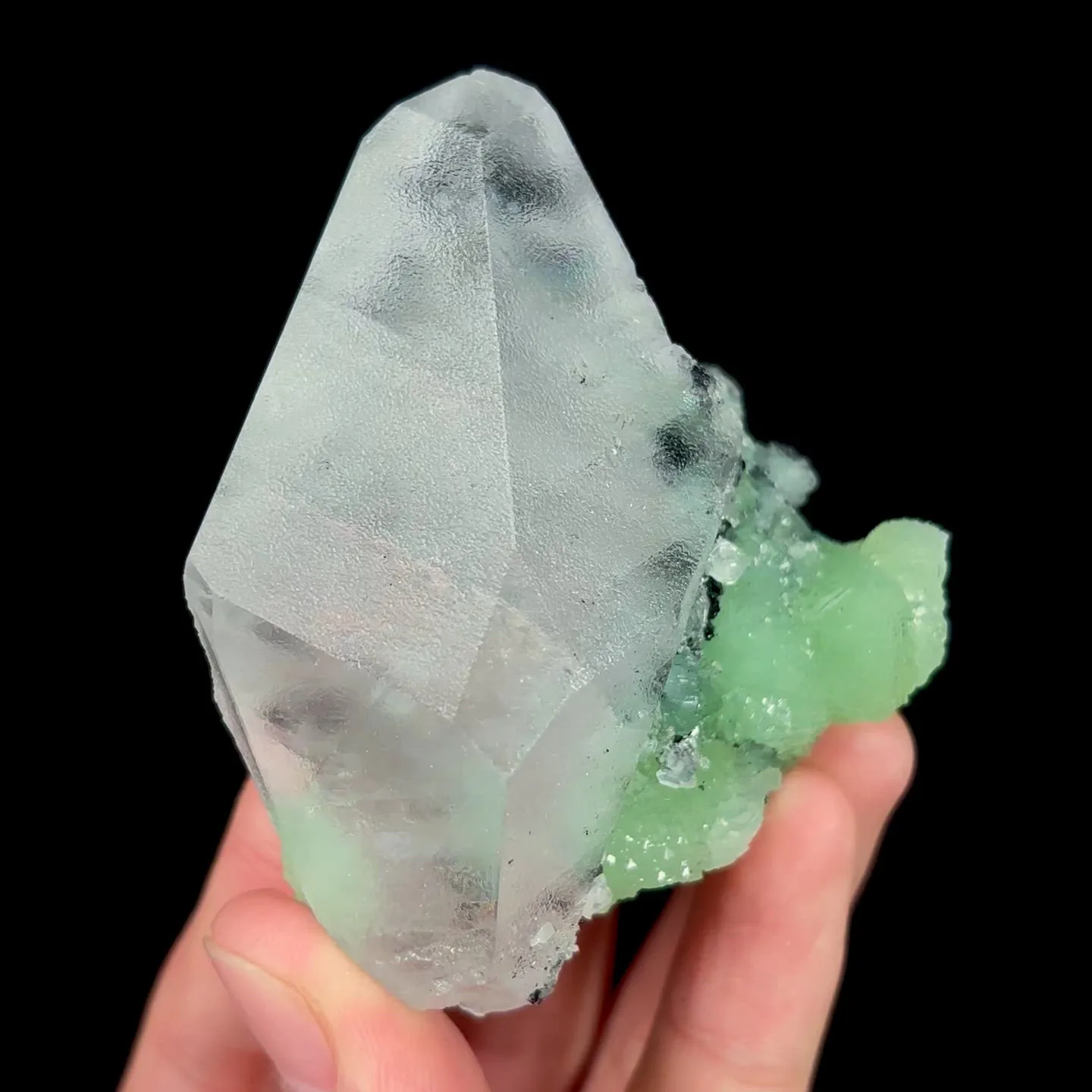 specimen video
