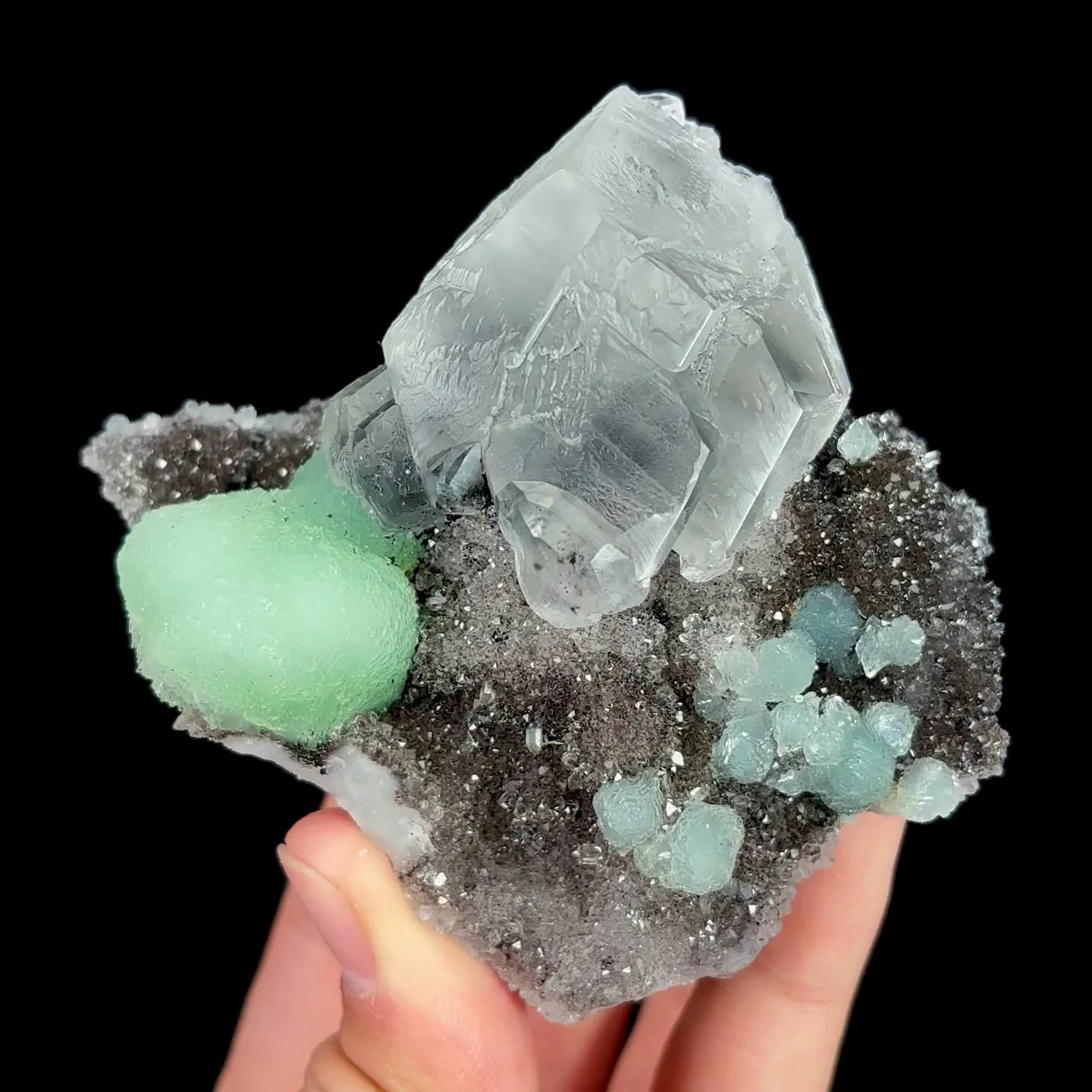 specimen video
