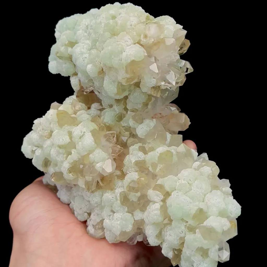 specimen video