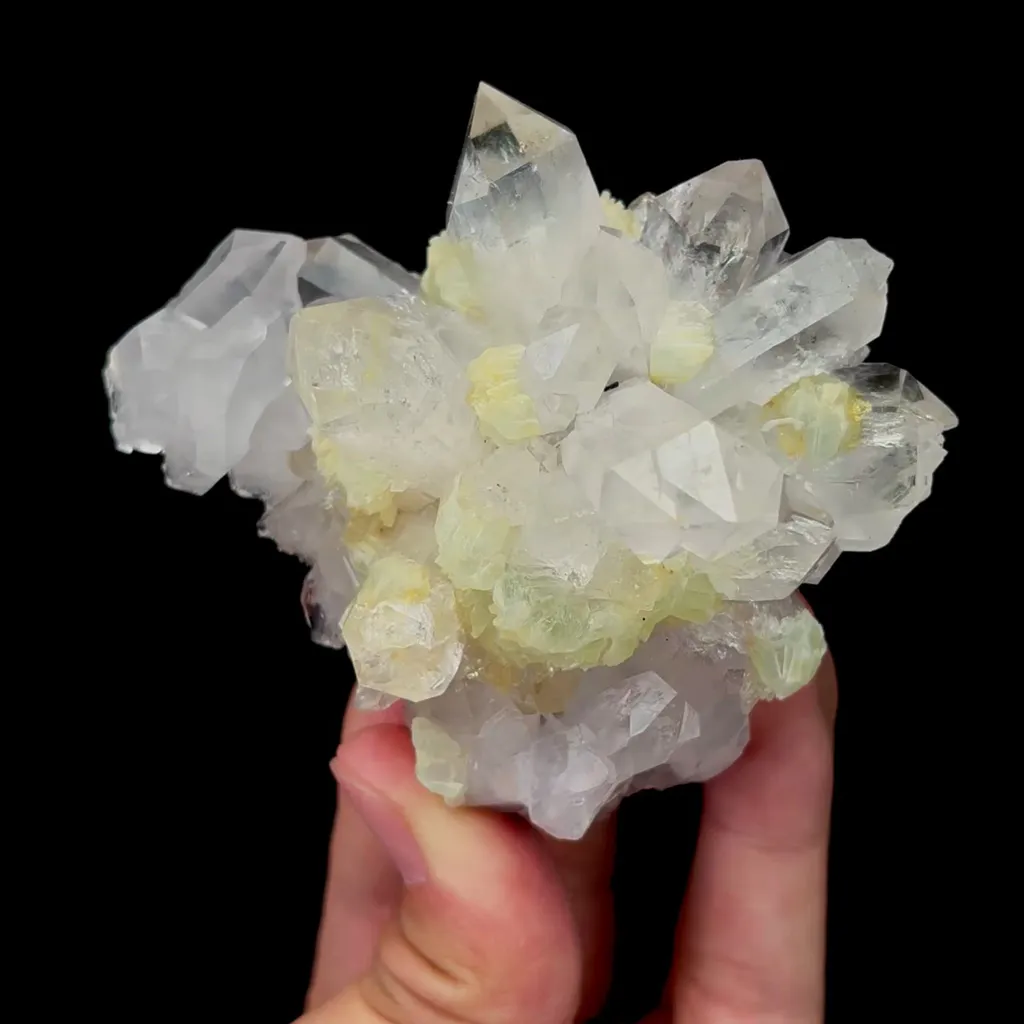 specimen video