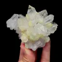 specimen video