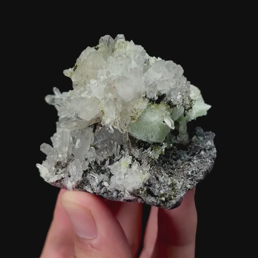 specimen video