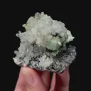 specimen video