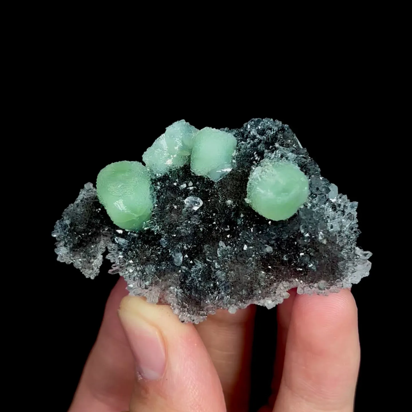 specimen video
