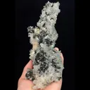 specimen video