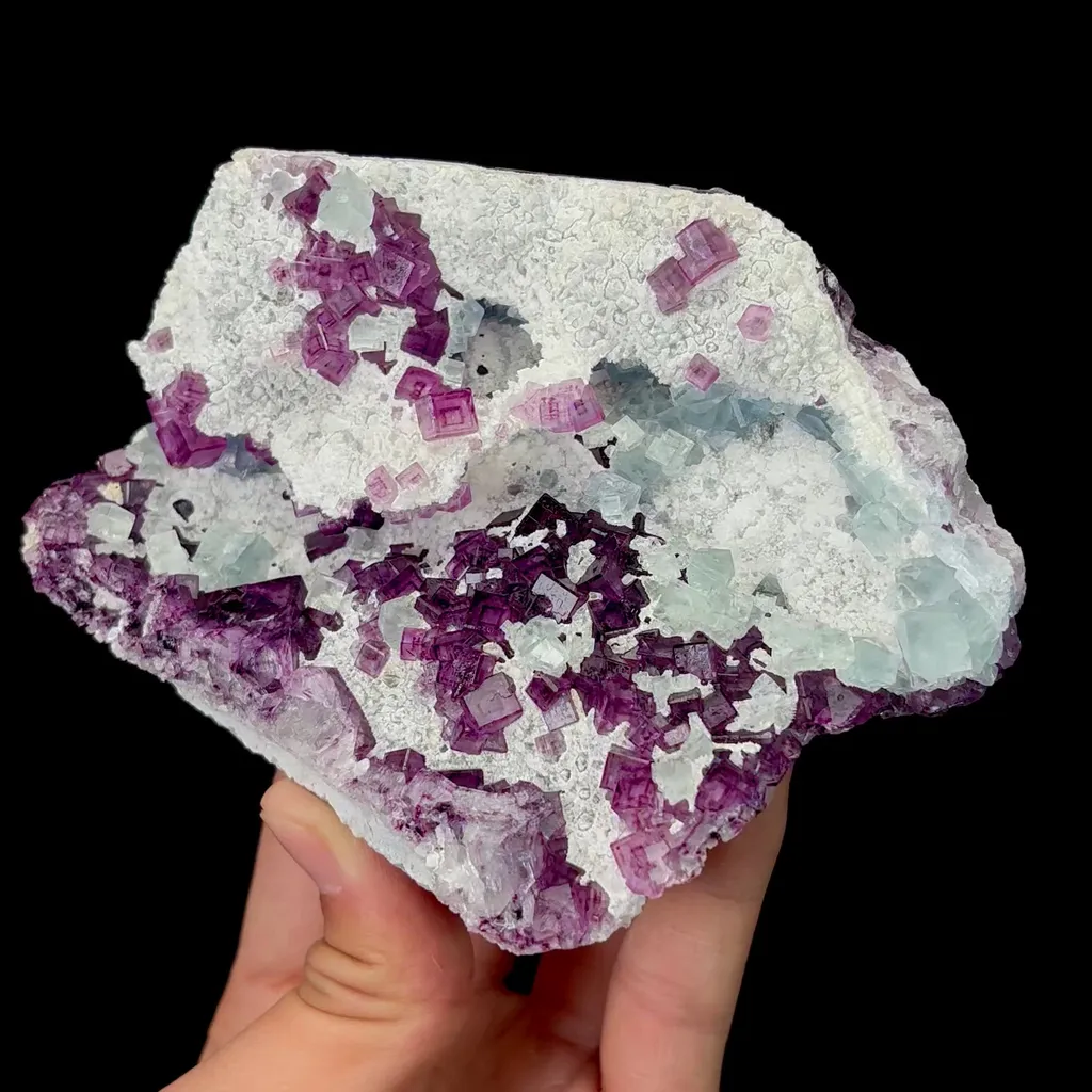 specimen video