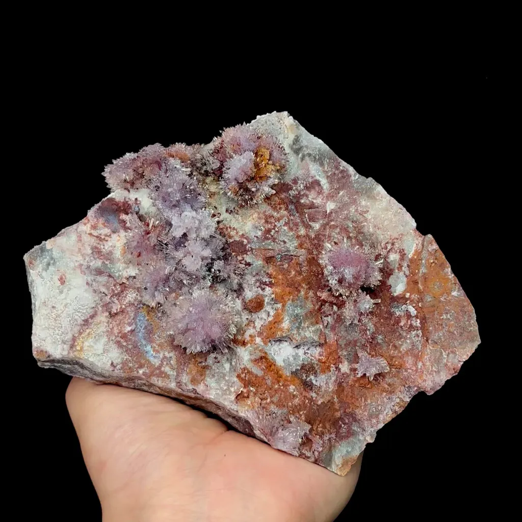 specimen video