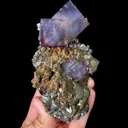 specimen video