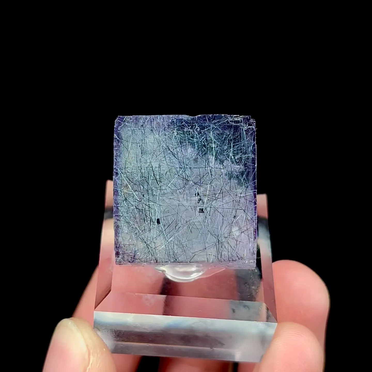 specimen video