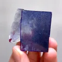 specimen video