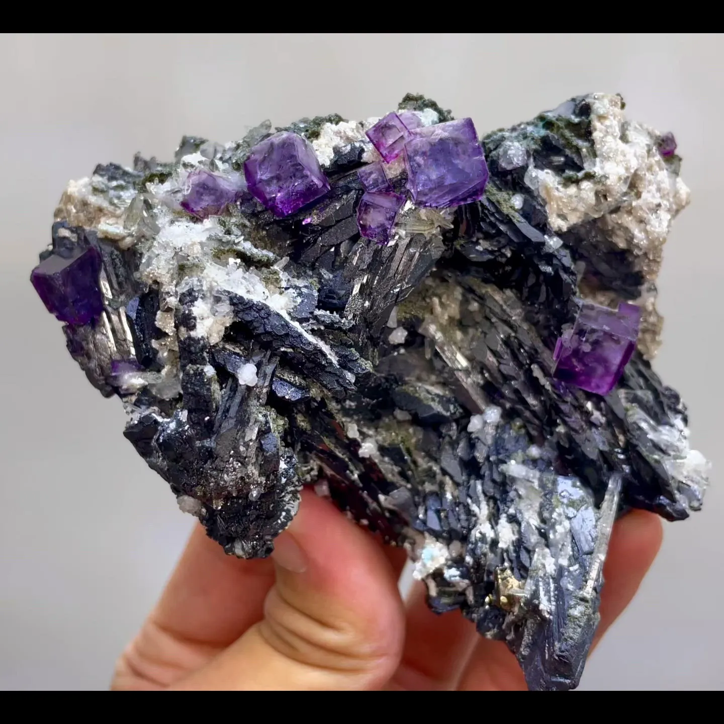 specimen video