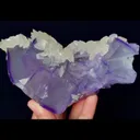 specimen video